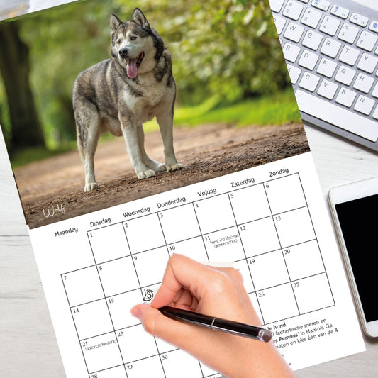 Hondenkalender 2026